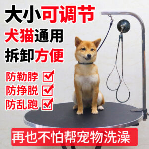 Shower safety strap